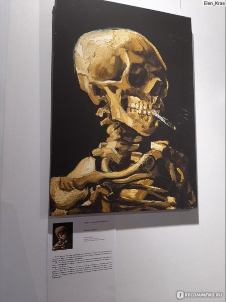 Винсент ван гог скелет