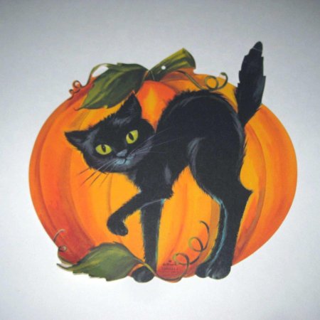 Хэллоуин кошка