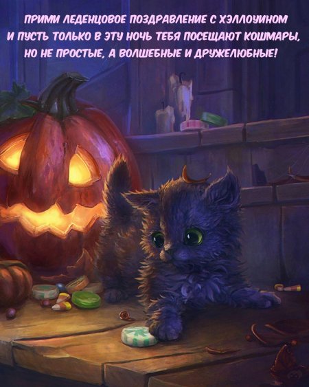 Хэллоуин коты