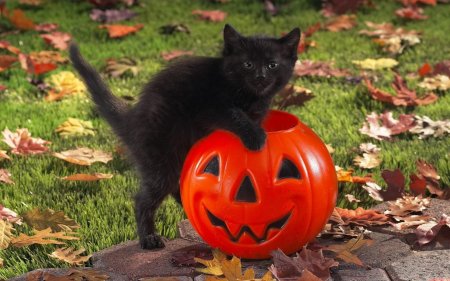 Хэллоуин самайн