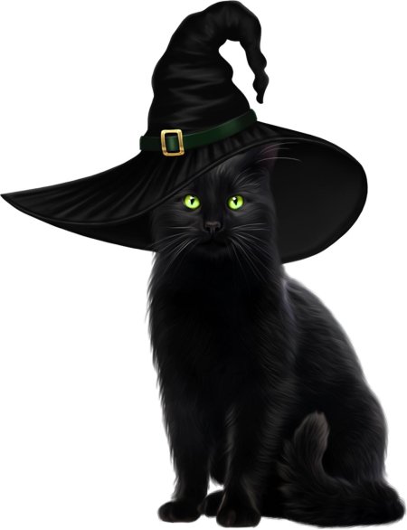 Волшебный кот