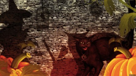 Кот на хэллоуин