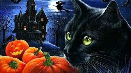 Ирина гармашова кот и хэллоуин