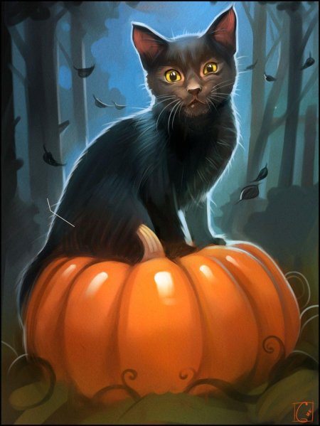 Хэллоуин кот
