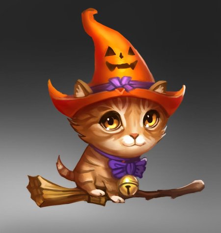 Witch cat