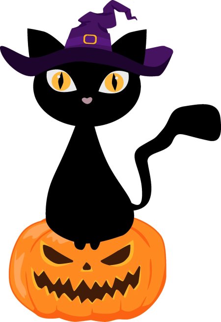 Хэллоуин коты