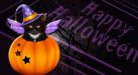 Коты хэллоуин