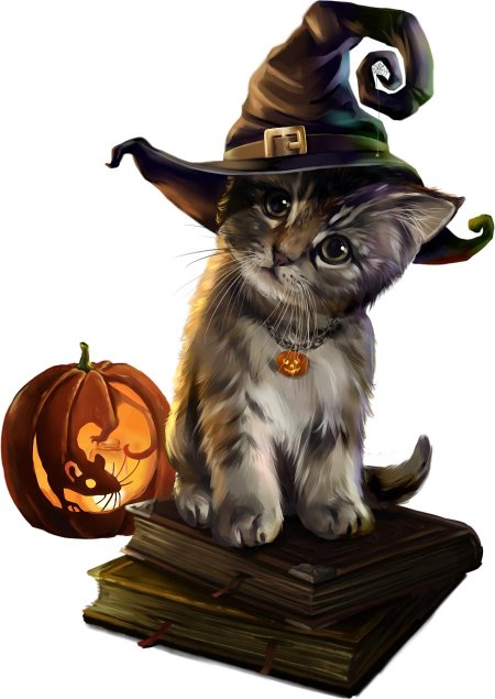 Хэллоуин кот