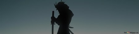 Shadow of samurai