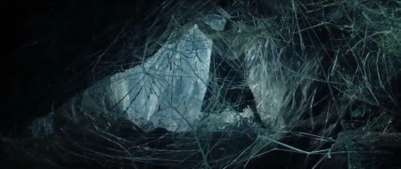 Фродо в паутине