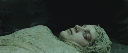 Фродо бэггинс в паутине