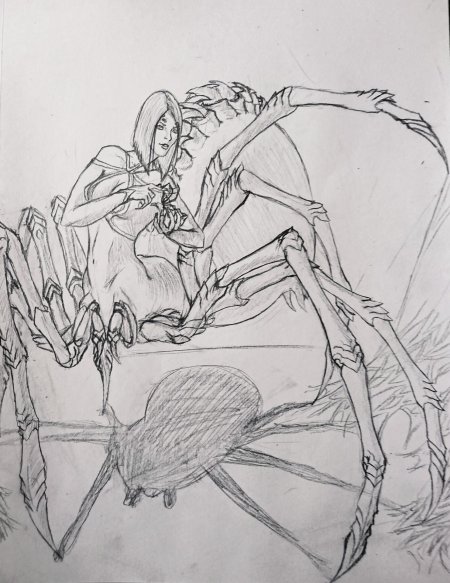 Пауки раскраска