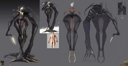 Shadow warrior амеонна