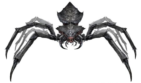 Гигантский паук днд