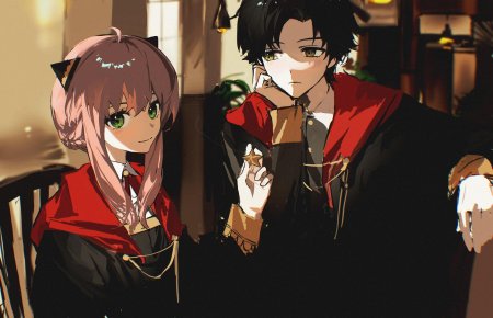 Аниме аня и дэмиан