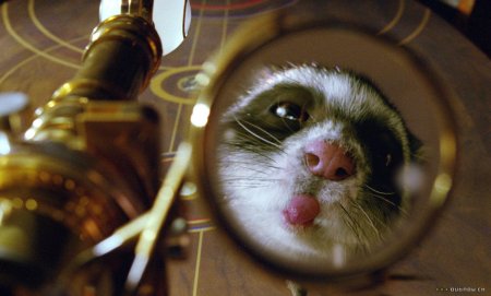 Золотой компас деймон лиры