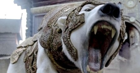 Йорек бирнисон