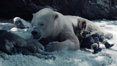 Фильм золотой компас медведь