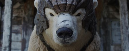 Бронированный медведь