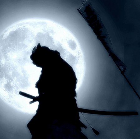 Bushido путь воина самурай