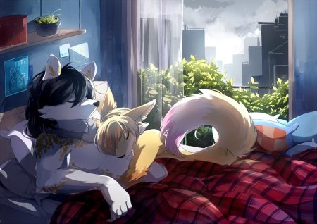 Фурри милые