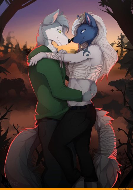 Фурри любовь волков