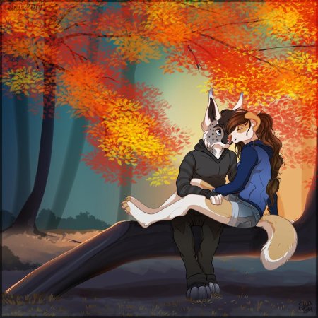 Фурри любовь