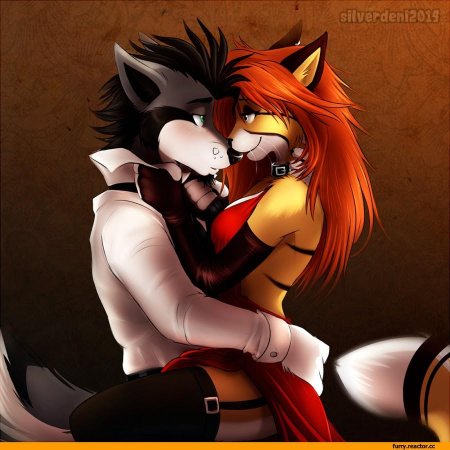 Фурри silverdeni