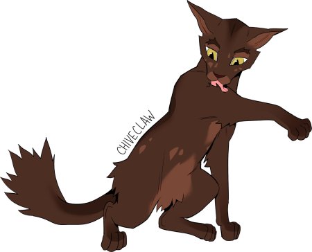 Barkface коты воители