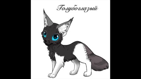 Коты воители канон