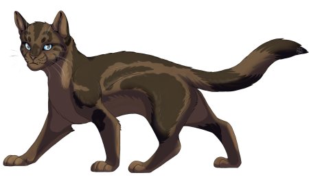 Коты воители ледозвезд