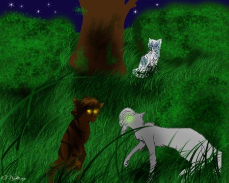 Коты воители тенесвет