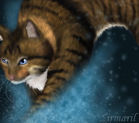 Речное племя коты воители