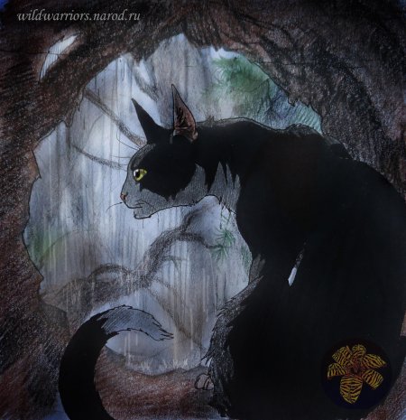 Коты воители лучехвост