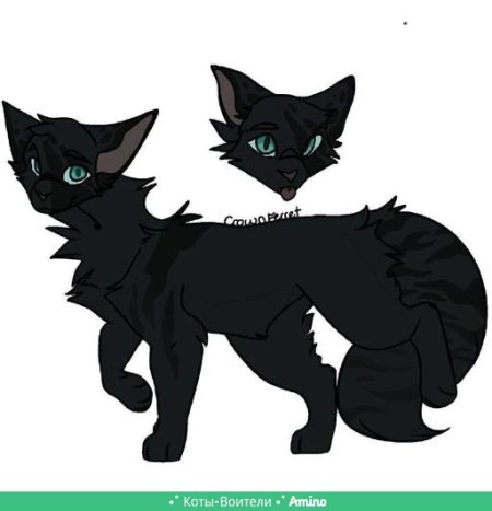Коты воители лунная тень
