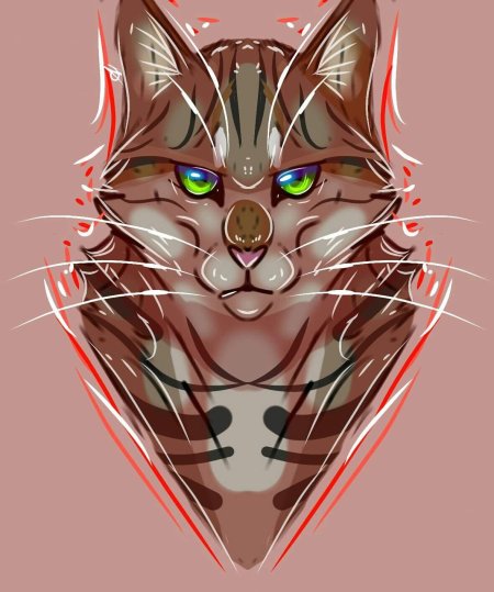 Коты воители терновник