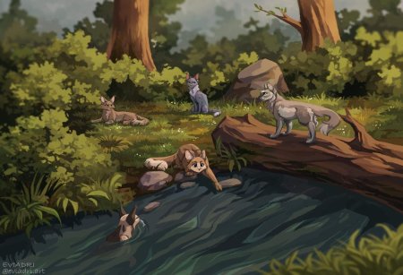 Коты воители лагерь речного племени