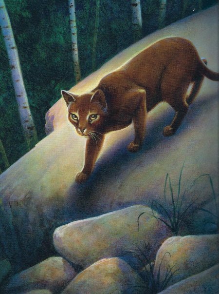 Коты воители листвяная звезда