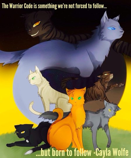 Коты воители огнезвёзд и синяя звезда