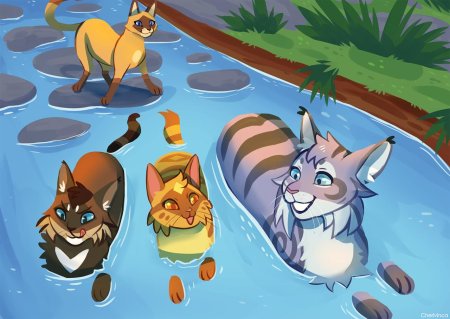 Коты воители речное племя