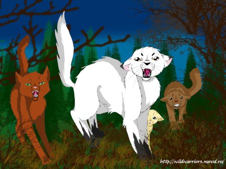 Племя теней коты воители