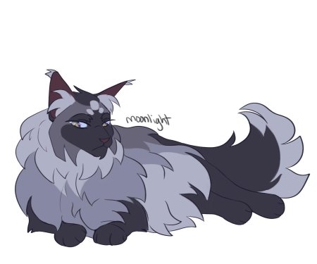 Коты воители знамение звезд