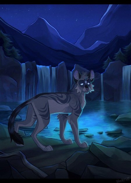 Коты воители вранокрыл