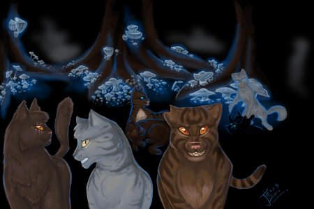 Коты воители звездоцап в сумрачном лесу