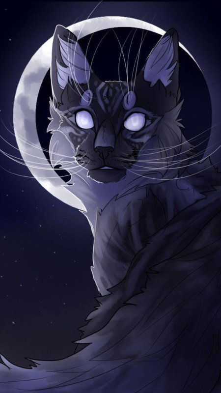 Коты воители синяя звезда