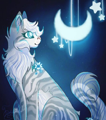 Коты воители половинка луны