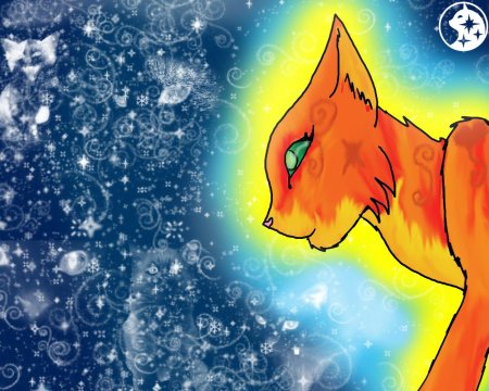 Коты воители сверкающая звезда