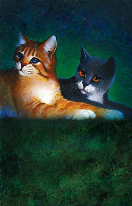 Коты воители кривуля