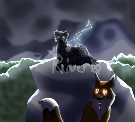 Коты воители завеса теней