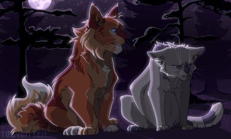 Коты воители синяя звезда и желудь